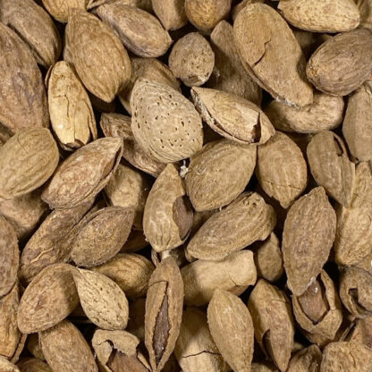 Featherglow Fancy Almonds - Image 2