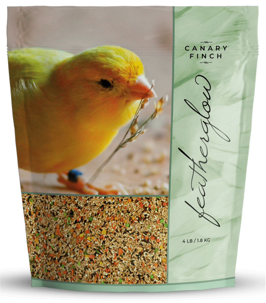 Featherglow Canary/Finch