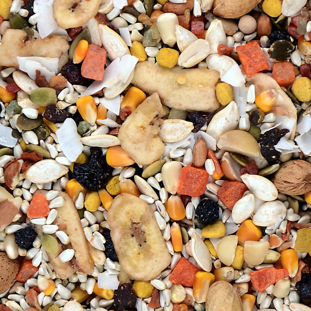 Featherglow Parrot Treat