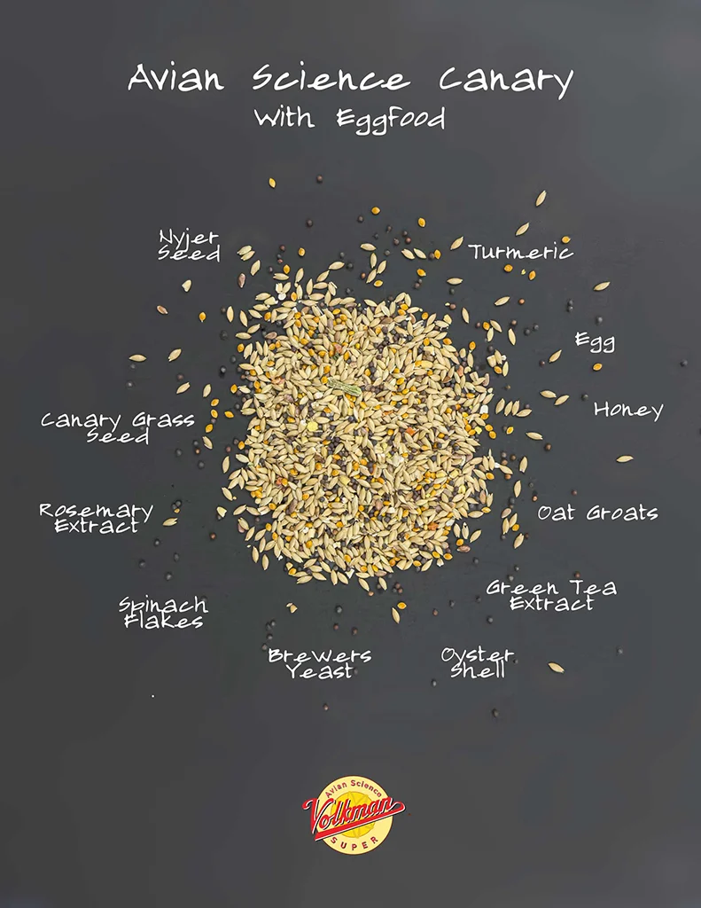 Avian Science Super Canary - Image 5