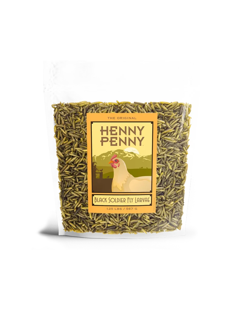 Henny Penny Black Soldier Fly